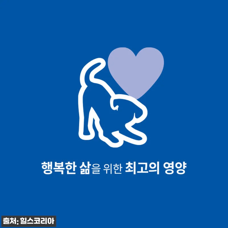 힐스 강아지사료 어덜트 헬시 퀴진 치 관련 이미지 1