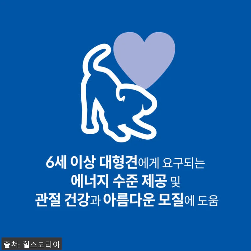 힐스 강아지사료 대형견용 6+ 라지브 관련 이미지 1