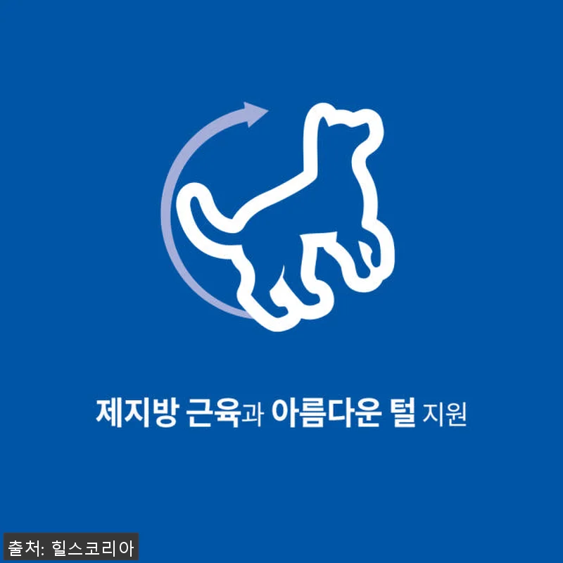 힐스 강아지사료 어덜트 연어 & 현미 관련 이미지 1