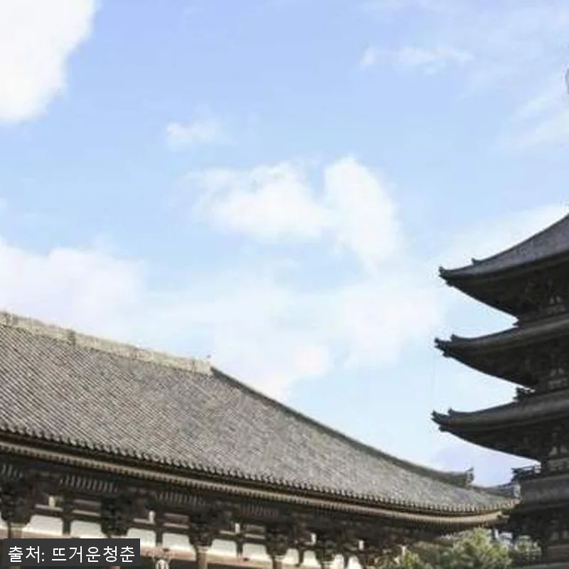 교토 출발 일본 고야산 일일 투어 솔 관련 이미지 1