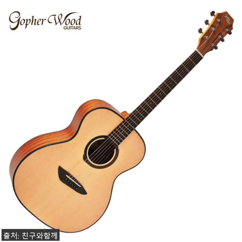 고퍼우드 G110 무광 OM바디 입문 관련 이미지 1