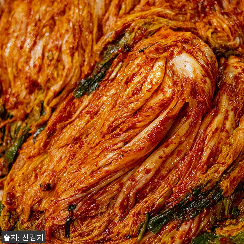 말바우시장 선김치 전라도 국산 포기 관련 이미지 1