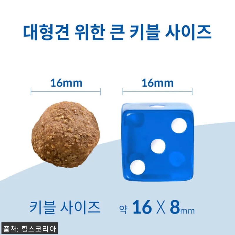 힐스 강아지사료 대형견용 6+ 라지브 관련 이미지 3