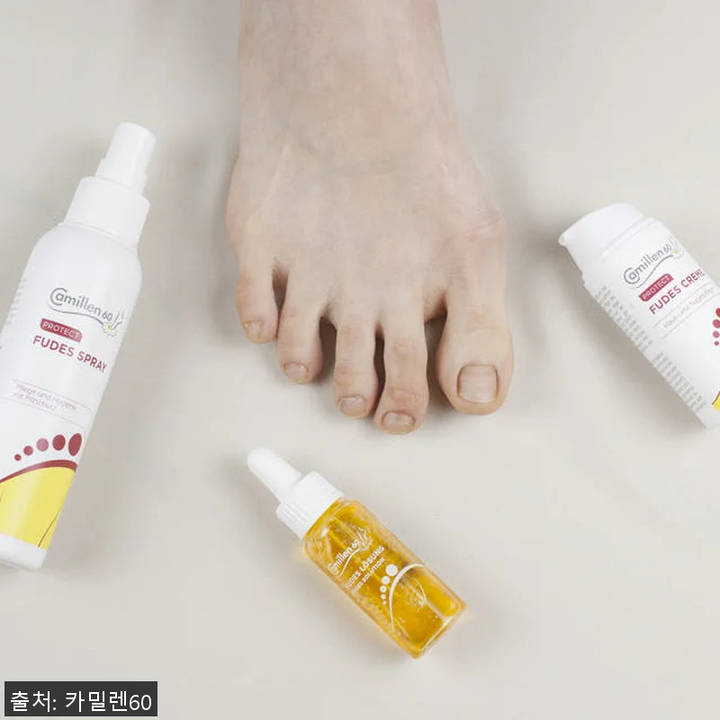 독일 카밀렌60 FUDES 푸데스 크 관련 이미지 3