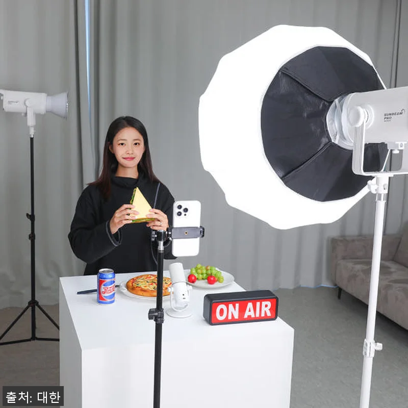 대한 DH-SP300W 자연광 촬영용 관련 이미지 2