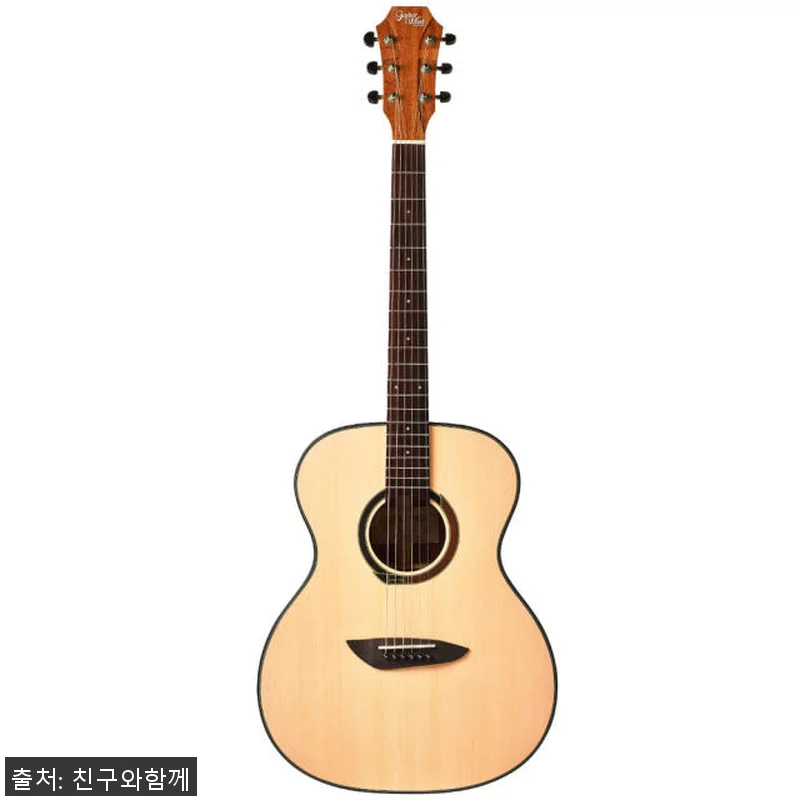 고퍼우드 G110 무광 OM바디 입문 관련 이미지 2