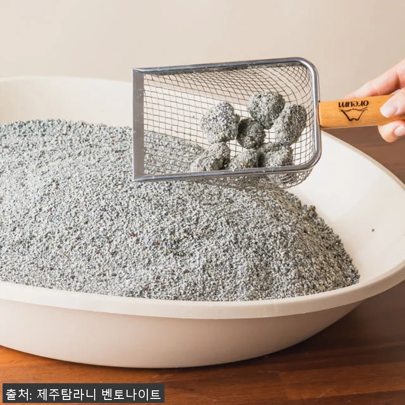 제주 화산송이 벤토나이트 기능성 고양 관련 이미지 4