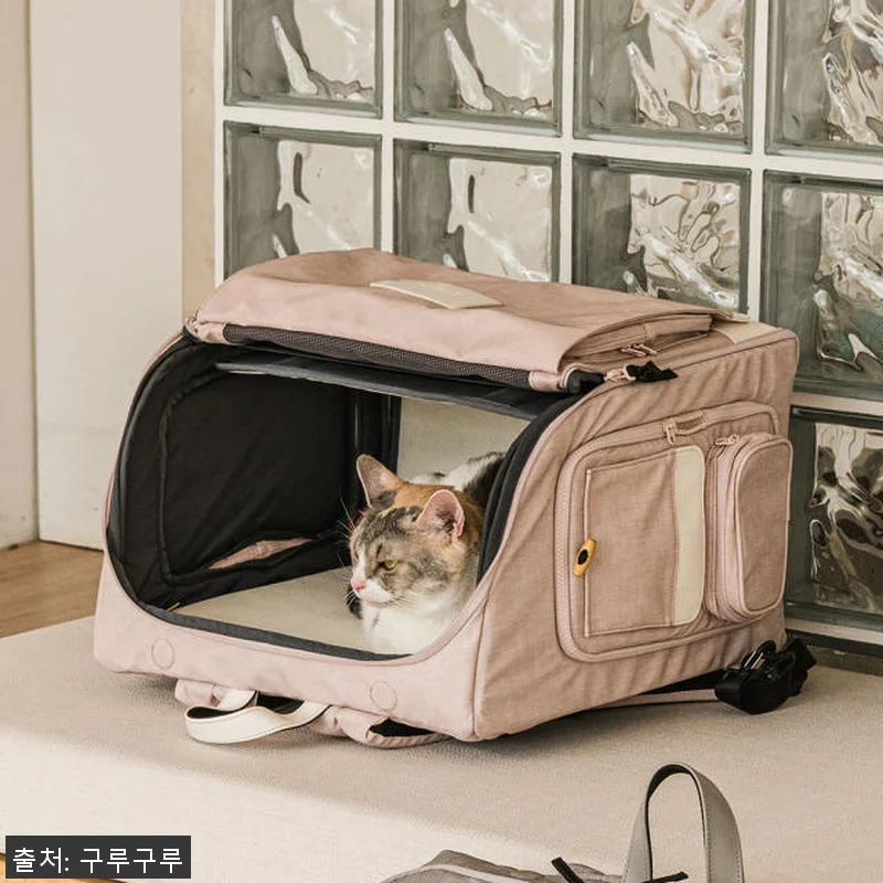구루구루 위고백 벤티 강아지 고양이 관련 이미지 3