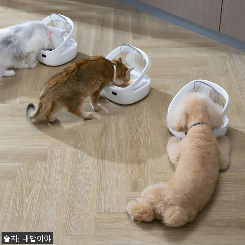 내밥이야 고양이 자동인식 슈어피드 다 관련 이미지 4