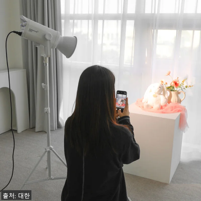대한 DH-SP300W 자연광 촬영용 관련 이미지 3