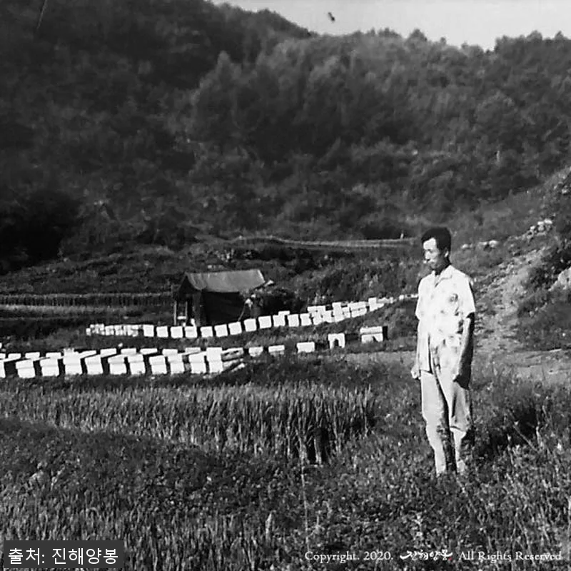 진해양봉 황금벌꿀세트 사용후기 - 아 관련 이미지 5