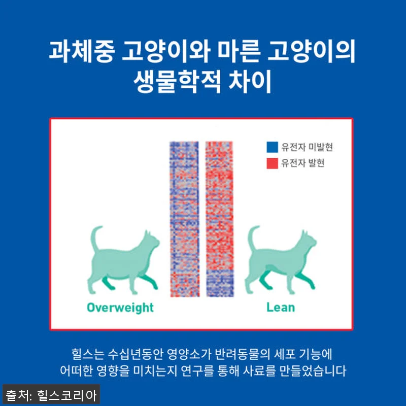힐스 고양이사료 어덜트 퍼펙트 웨이트 관련 이미지 5
