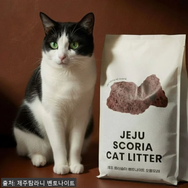 제주 화산송이 벤토나이트 기능성 고양 관련 이미지 5
