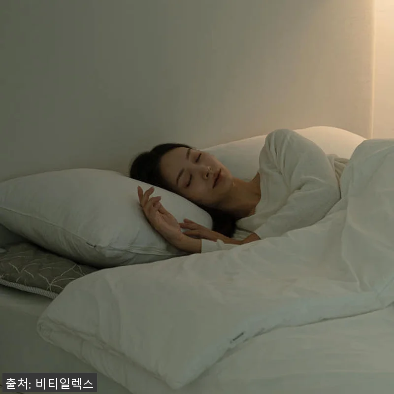 비티일렉스 배김방지 온수매트 숙면 특 관련 이미지 6