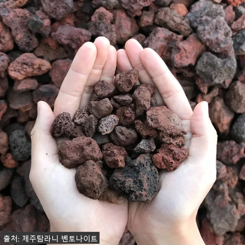 제주 화산송이 벤토나이트 기능성 고양 관련 이미지 6
