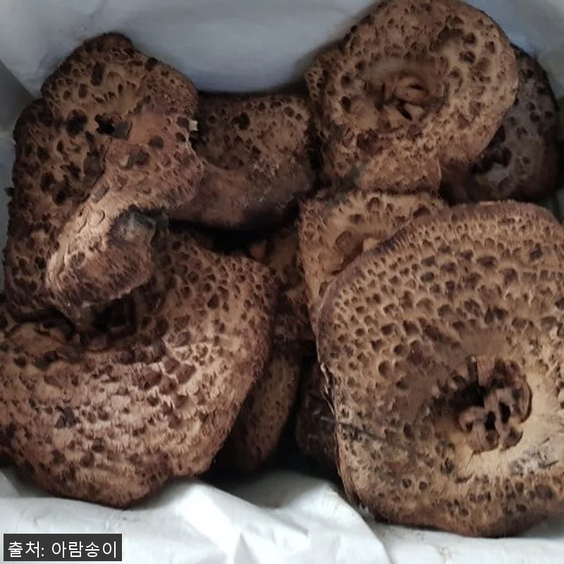 2025년 자연산 능이버섯 1kg 사 관련 이미지 6