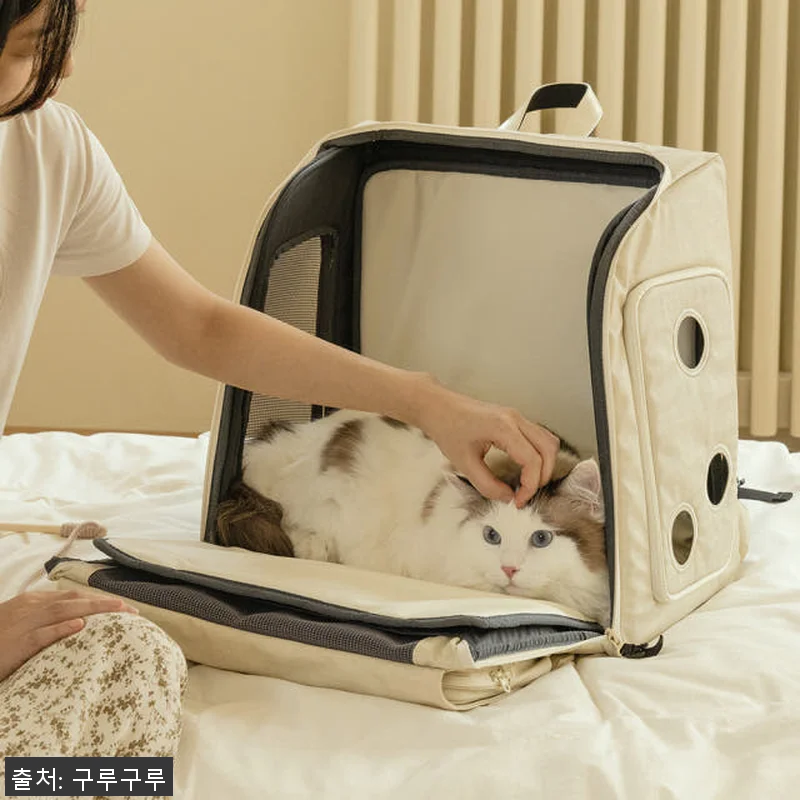 구루구루 위고백 벤티 강아지 고양이 관련 이미지 5