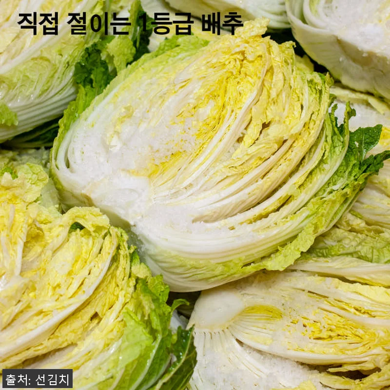 말바우시장 선김치 전라도 국산 포기 관련 이미지 5