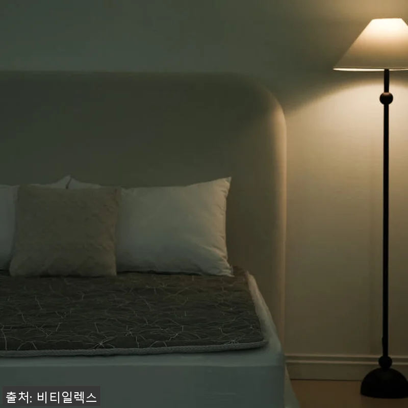 비티일렉스 배김방지 온수매트 숙면 특 관련 이미지 7