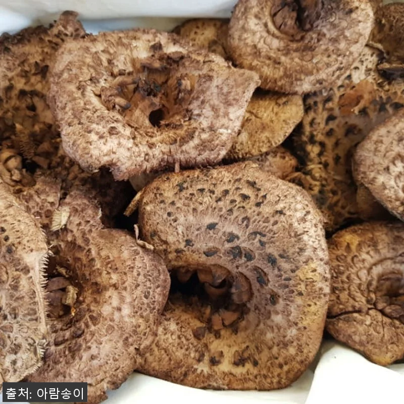 2025년 자연산 능이버섯 1kg 사 관련 이미지 7