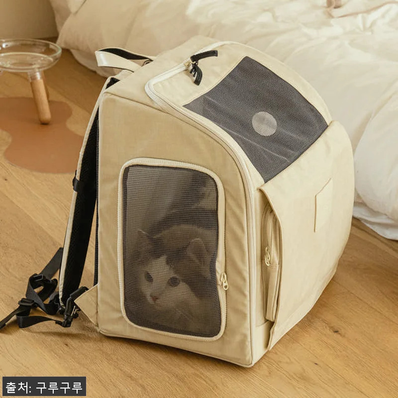구루구루 위고백 벤티 강아지 고양이 관련 이미지 7