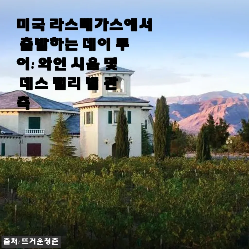 라스베가스 데이 투어: 와인 시음과 데스 밸리 별 관측 체험 후기