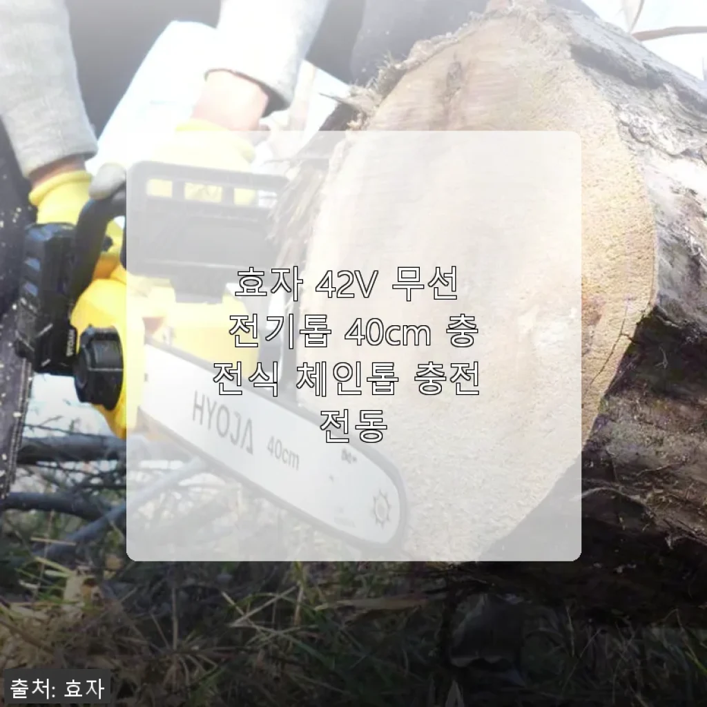 효자 42V 무선 전기톱 40cm 충전식 체인톱 사용후기