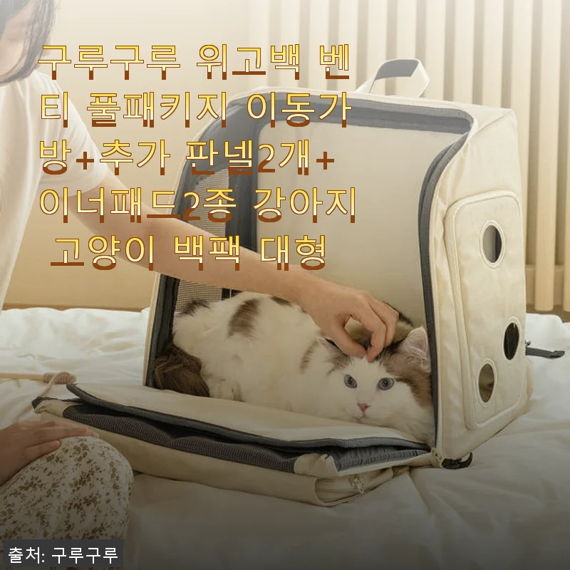 구루구루 위고백 벤티 풀패키지 사용후기: 랙돌 고양이와 함께한 실용적인 이동가방