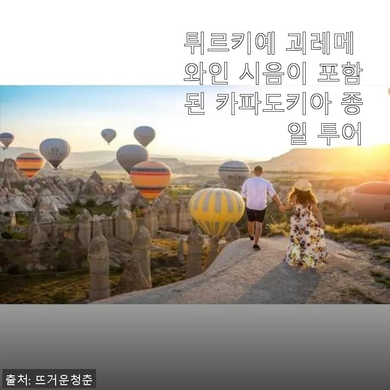튀르키예 괴레메 와인 시음 포함 카파도키아 종일 투어 사용후기