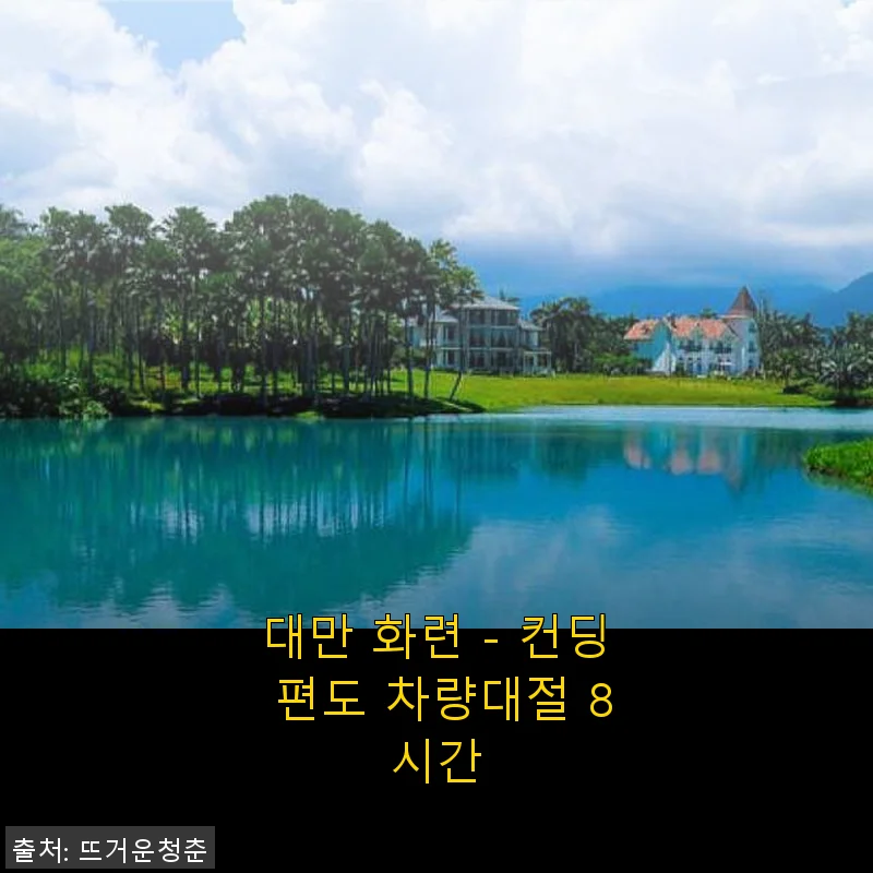 대만 화련 - 컨딩 편도 차량대절 8시간 사용후기 및 제품소개