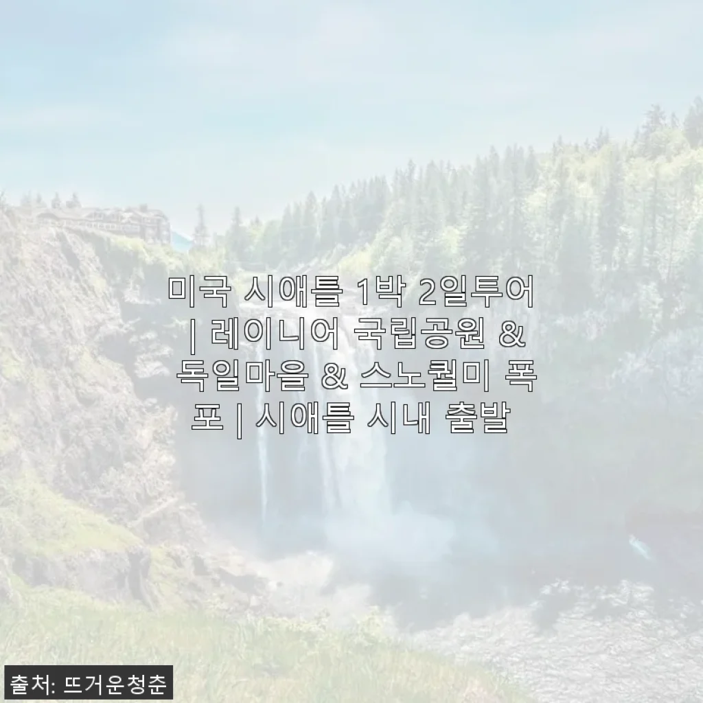미국 시애틀 1박 2일 투어 사용후기: 레이니어 국립공원과 스노퀄미 폭포를 경험하다