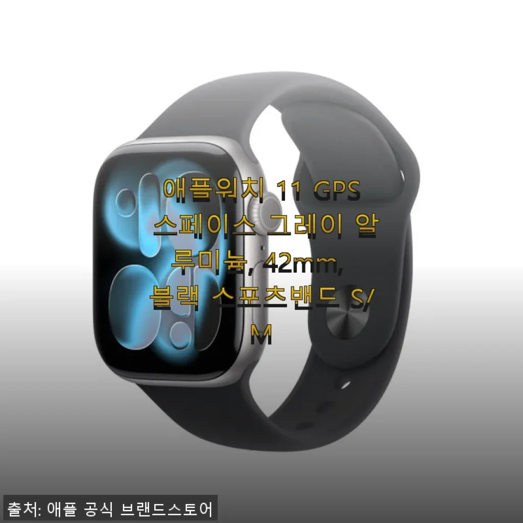 애플워치 11 GPS 스페이스 그레이 42mm 블랙 스포츠밴드 사용후기