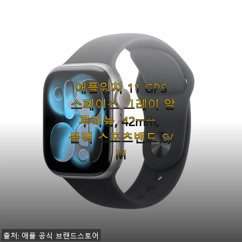 애플워치 11 GPS 스페이스 그레이 42mm 블랙 스포츠밴드 사용후기