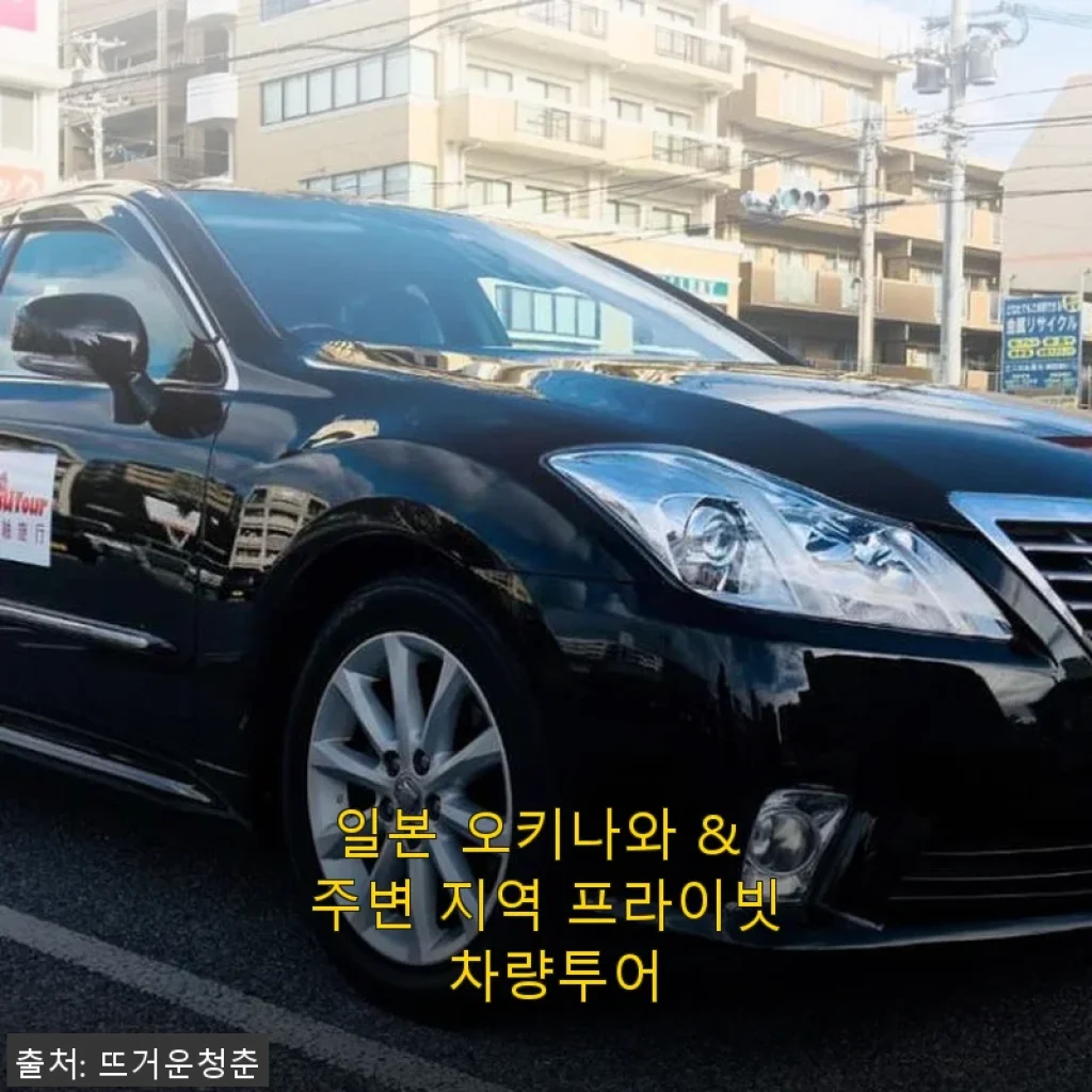 일본 오키나와 & 주변 지역 프라이빗 차량투어 직접 경험 후기