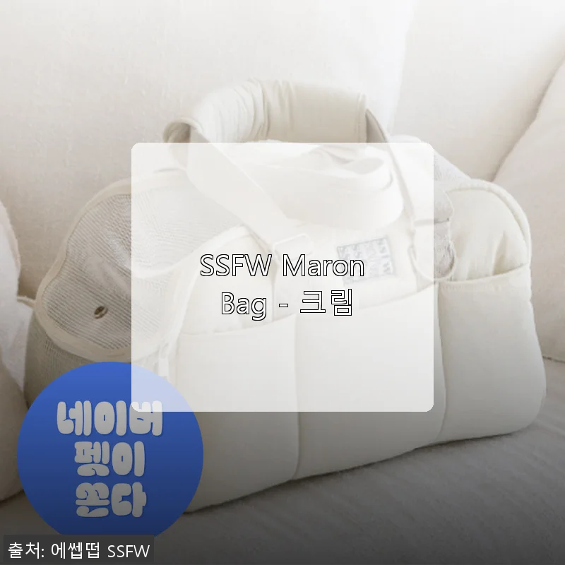 SSFW Maron Bag - 크림, 직접 써본 솔직한 사용 후기