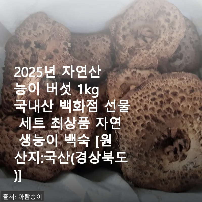 2025년 자연산 능이버섯 1kg 사용후기 - 진짜 자연의 향을 담은 백화점 선물 세트