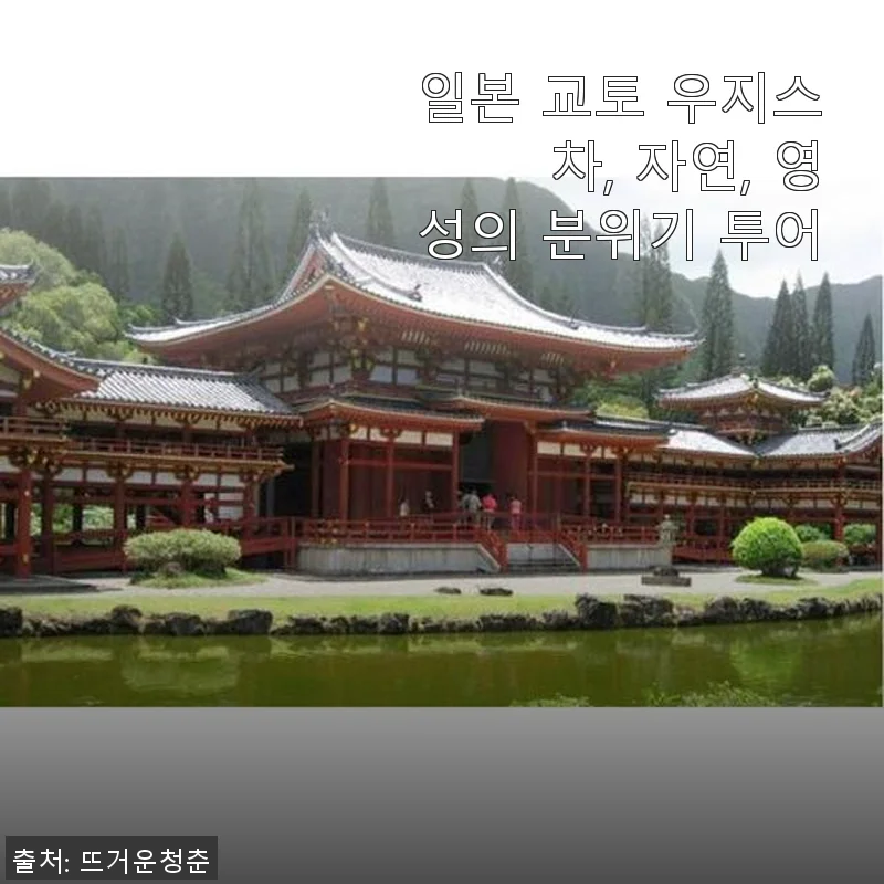 일본 교토 우지스 차, 자연, 영성의 분위기 투어 사용후기