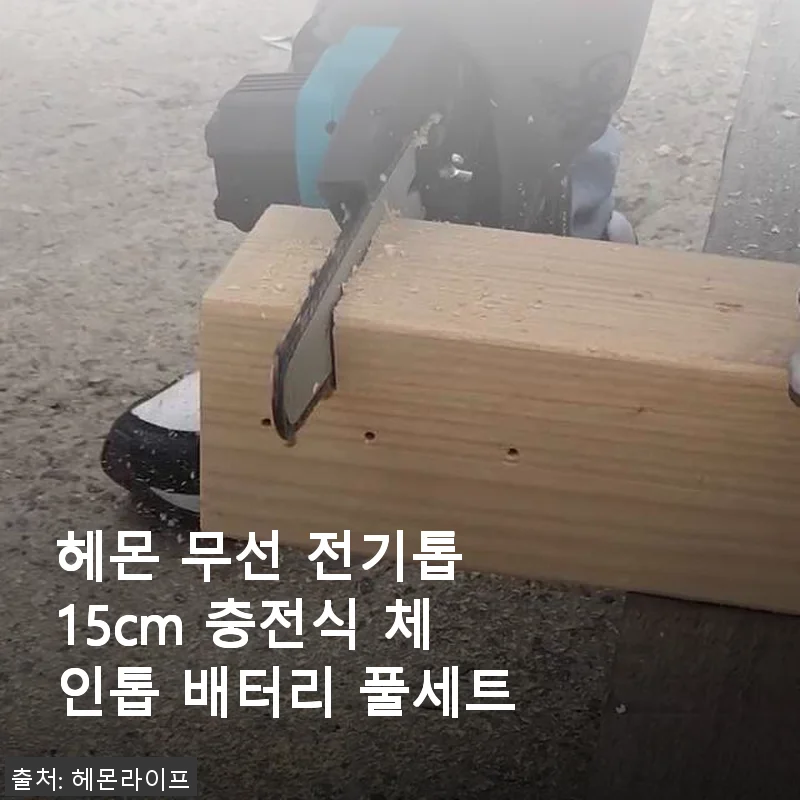 헤몬 무선 전기톱 15cm 충전식 체인톱 풀세트 사용후기