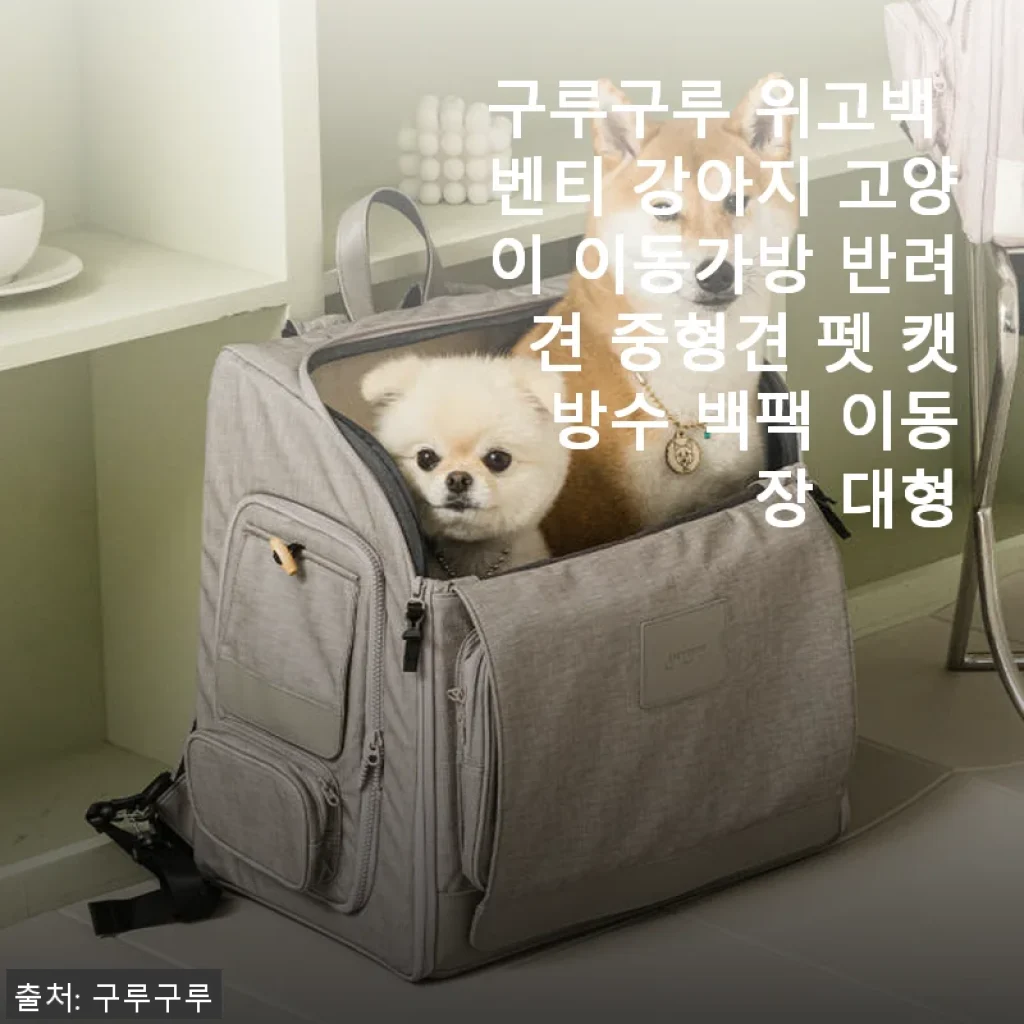구루구루 위고백 벤티 강아지 고양이 이동가방 사용후기: 튼튼함과 편안함이 공존하는 반려동물 백팩