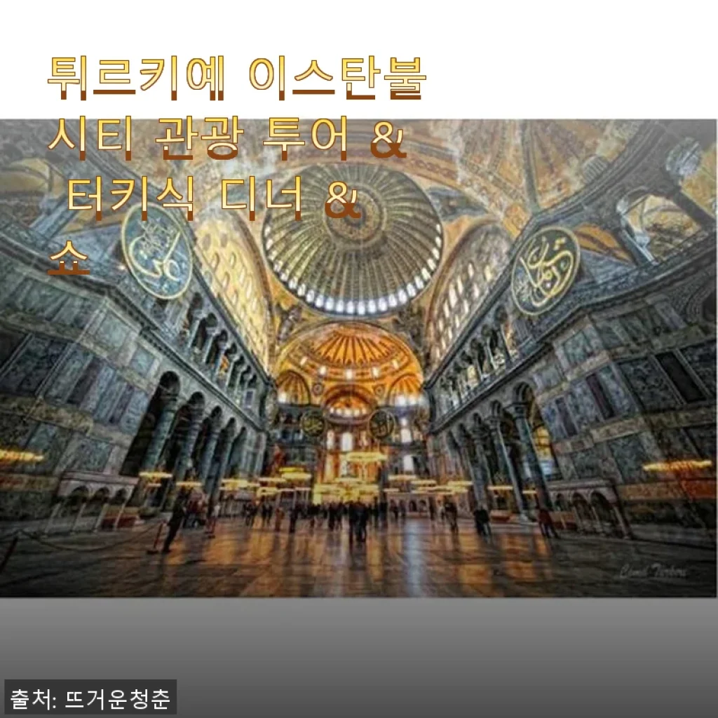 튀르키예 이스탄불 시티 관광 투어 & 터키식 디너 & 쇼 사용후기