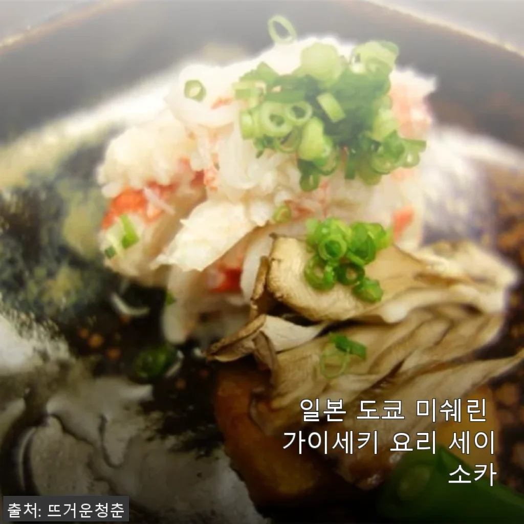 일본 도쿄 미쉐린 가이세키 요리 세이소카 사용후기와 제품소개