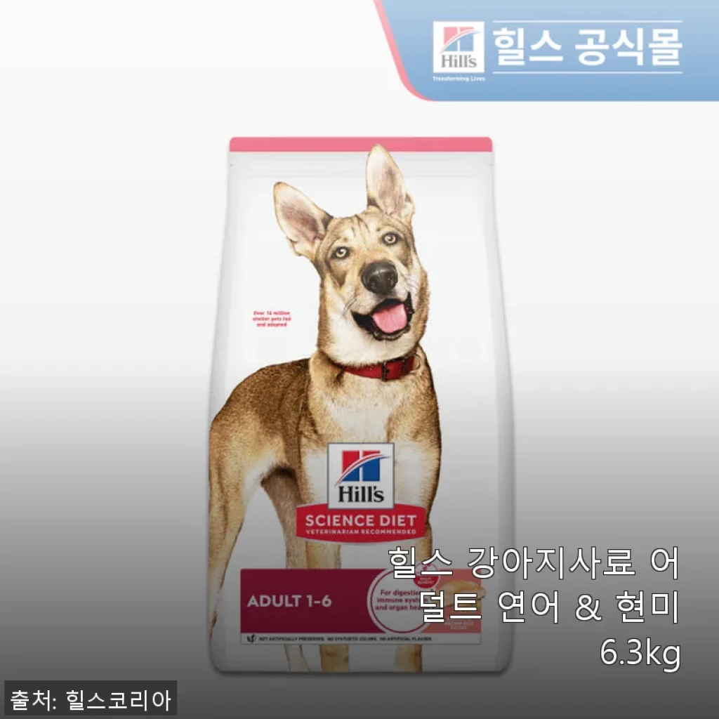 힐스 강아지사료 어덜트 연어 & 현미 6.3kg 사용후기: 우리 강아지의 건강한 한 끼