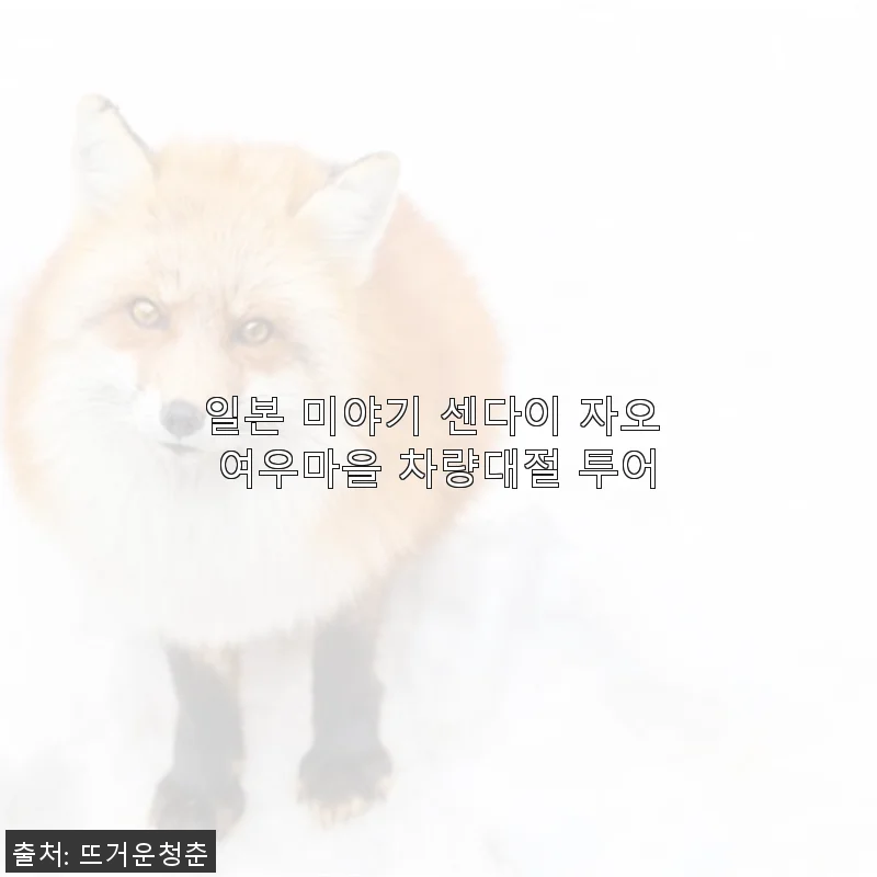 일본 미야기 센다이 자오 여우마을 차량대절 투어 사용후기