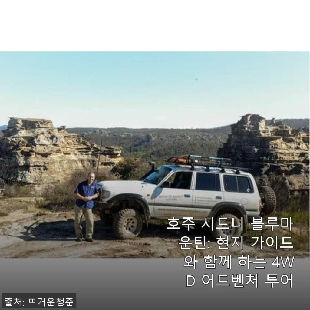 호주 시드니 블루마운틴 4WD 어드벤처 투어 사용 후기