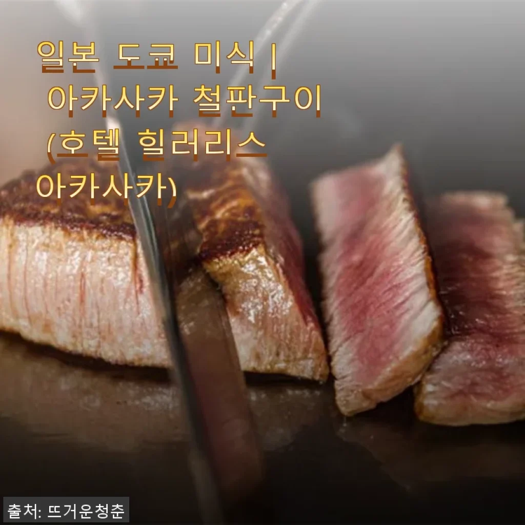 일본 도쿄 미식 아카사카 철판구이, 호텔 힐러리스 아카사카에서의 특별한 경험