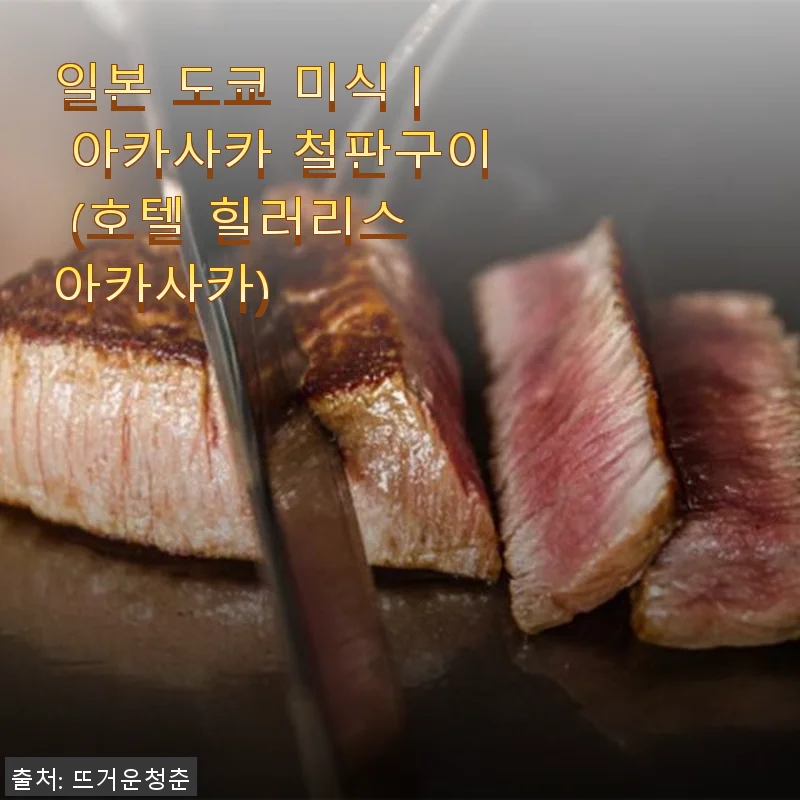 일본 도쿄 미식 아카사카 철판구이, 호텔 힐러리스 아카사카에서의 특별한 경험