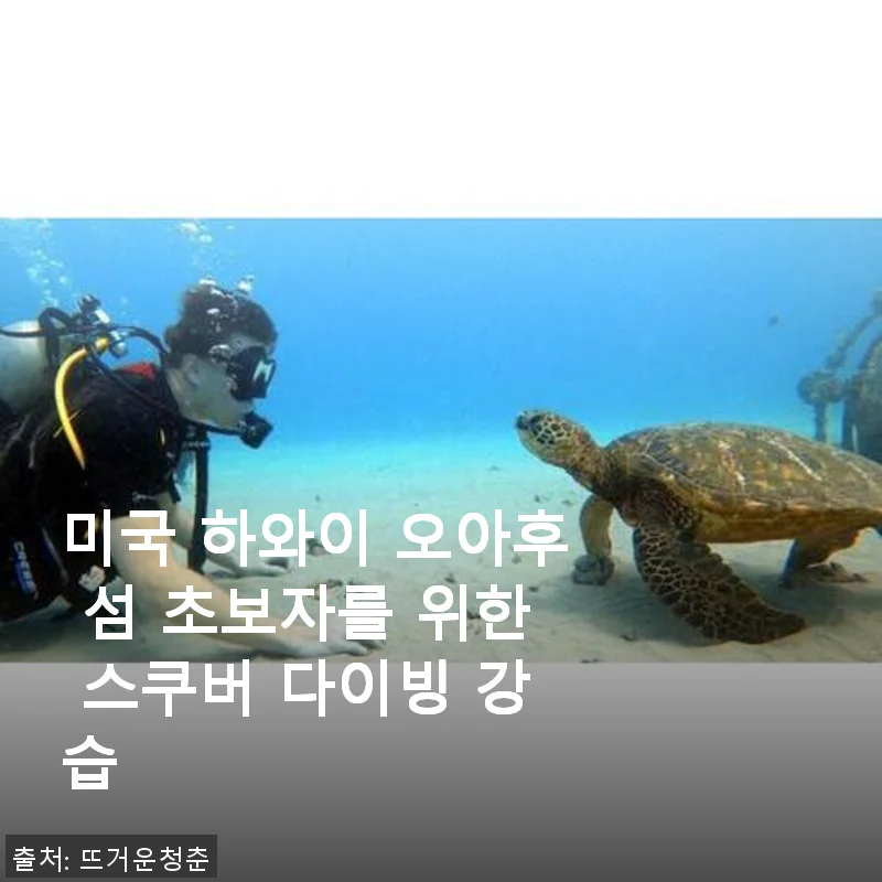 미국 하와이 오아후 섬 초보자를 위한 스쿠버 다이빙 강습 사용후기
