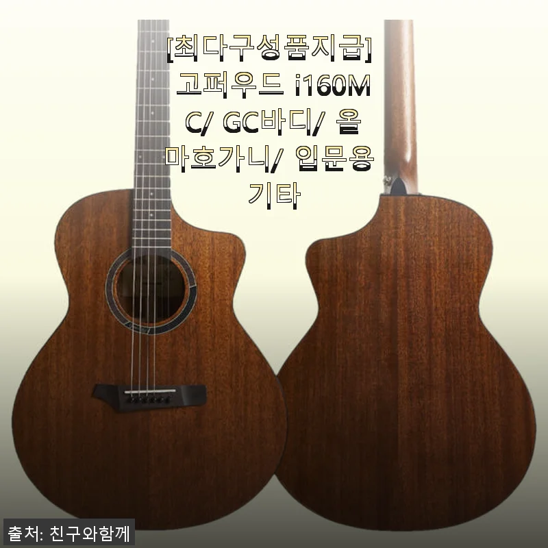 고퍼우드 i160MC GC바디 올마호가니 입문용 기타 사용후기