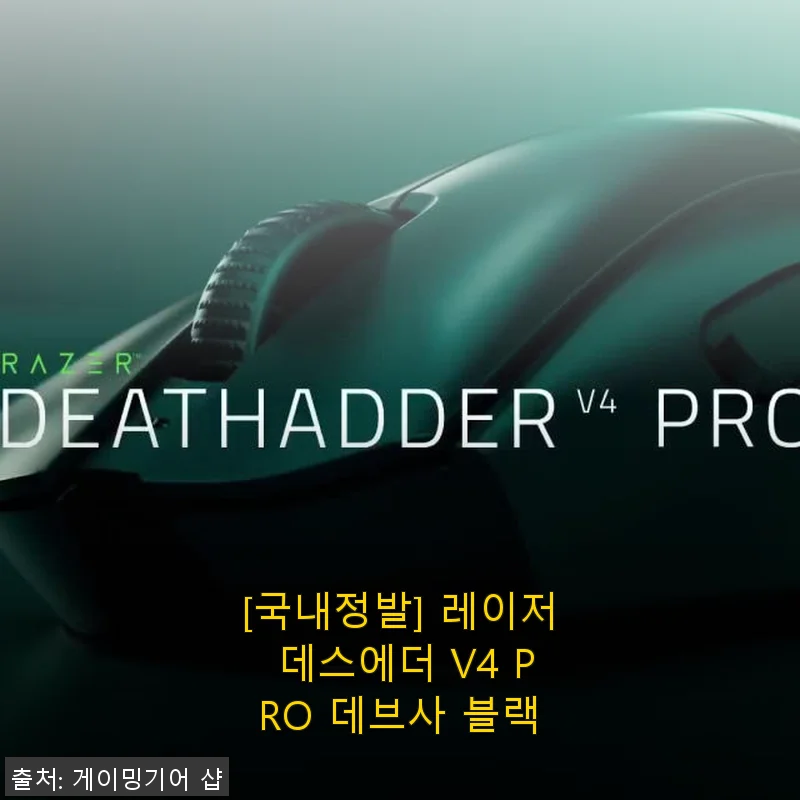 [국내정발] 레이저 데스에더 V4 PRO 데브사 블랙 사용 후기