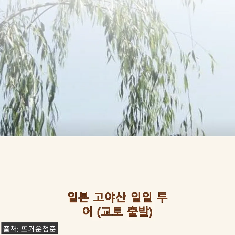 교토 출발 일본 고야산 일일 투어 솔직 사용후기